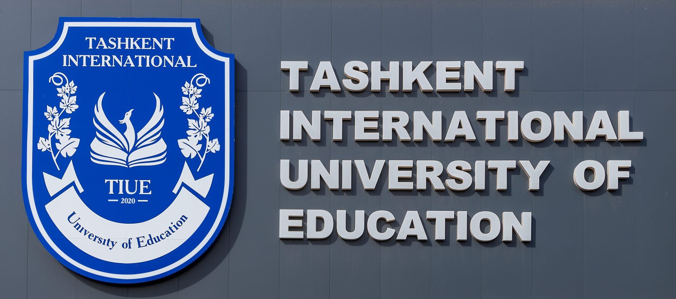 Вакансии для профессоров и преподавателей - Tashkent International  University of Education