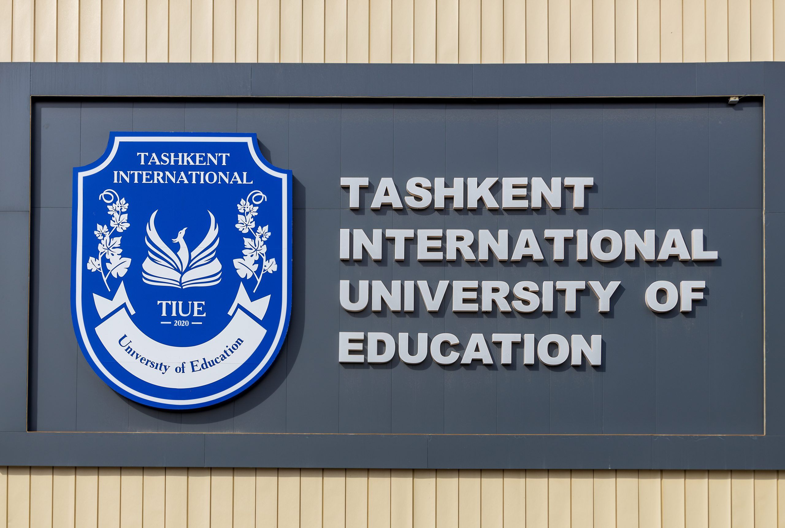 Вакансии для профессоров и преподавателей - Tashkent International  University of Education